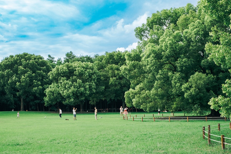 San Diego's Premier Weekend Dog Walker Photo dog walker